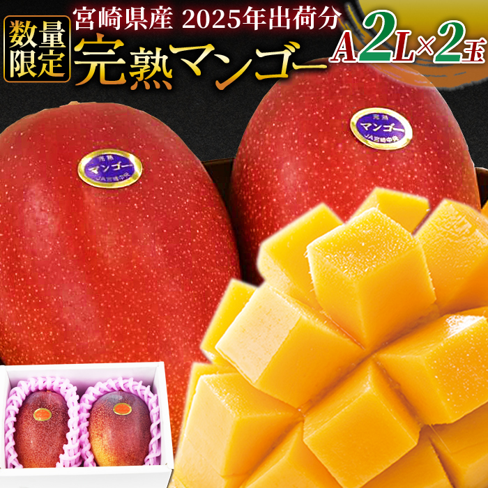 【ふるさと納税】数量限定！【2025年発送】＜宮崎県産 完熟マンゴー A等級 2Lサイズ×2玉（合計約700g）＞※入金確認後、2025年4月下旬～6月末迄に順次出荷 果物 フルーツ  ギフト 贈り物 贈答用 季節限定 JAみやざき 宮崎県 国富町【冷蔵】