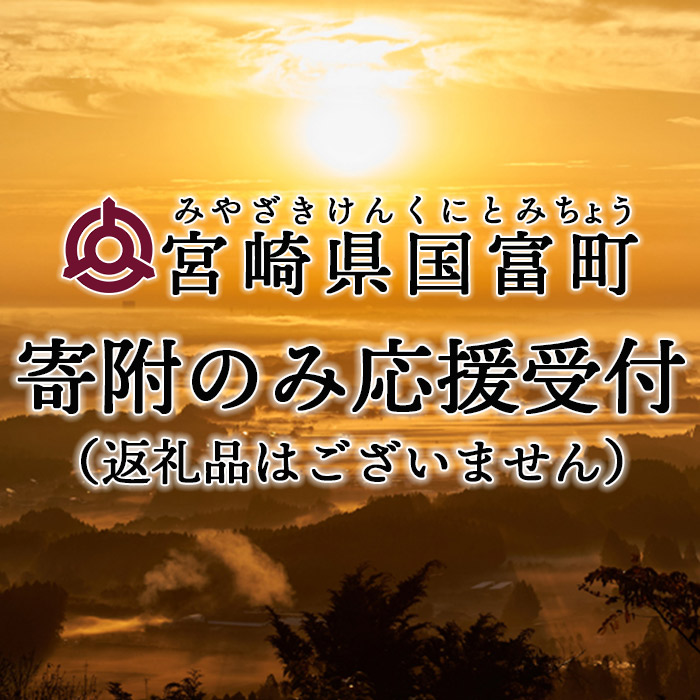 寄附のみの応援受付 返礼品はございません 宮崎県 国富町 支援 応援 返礼品なし 0040_ku 新作 大人気