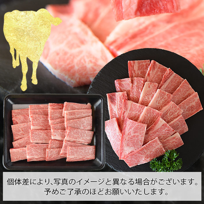 市場 ふるさと納税 黒毛和牛 三角バラカルビ焼肉 400g ブランド牛 宮崎牛 牛肉 翌月末迄に順次出荷します ※入金確認後 4等級以上