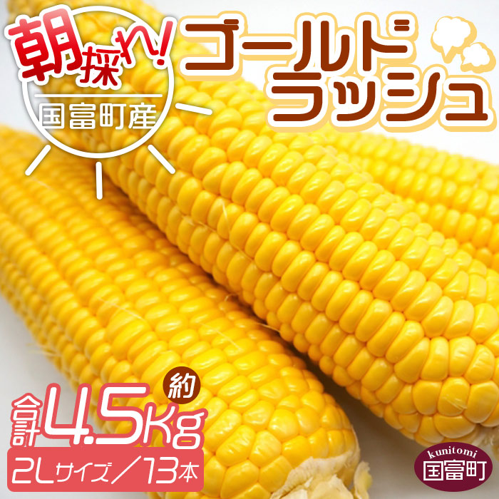 【ふるさと納税】予約受付！＜朝採れ！国富町産ゴールドラッシュ（4.5kg 2Lサイズ 13本）＞※入金確認後、2025年5月下旬～7月上旬迄に順次出荷します。トウモロコシ スイートコーン 野菜 穀物 甘い サンクール・スマイルファーム 宮崎県 国富町【冷蔵】
