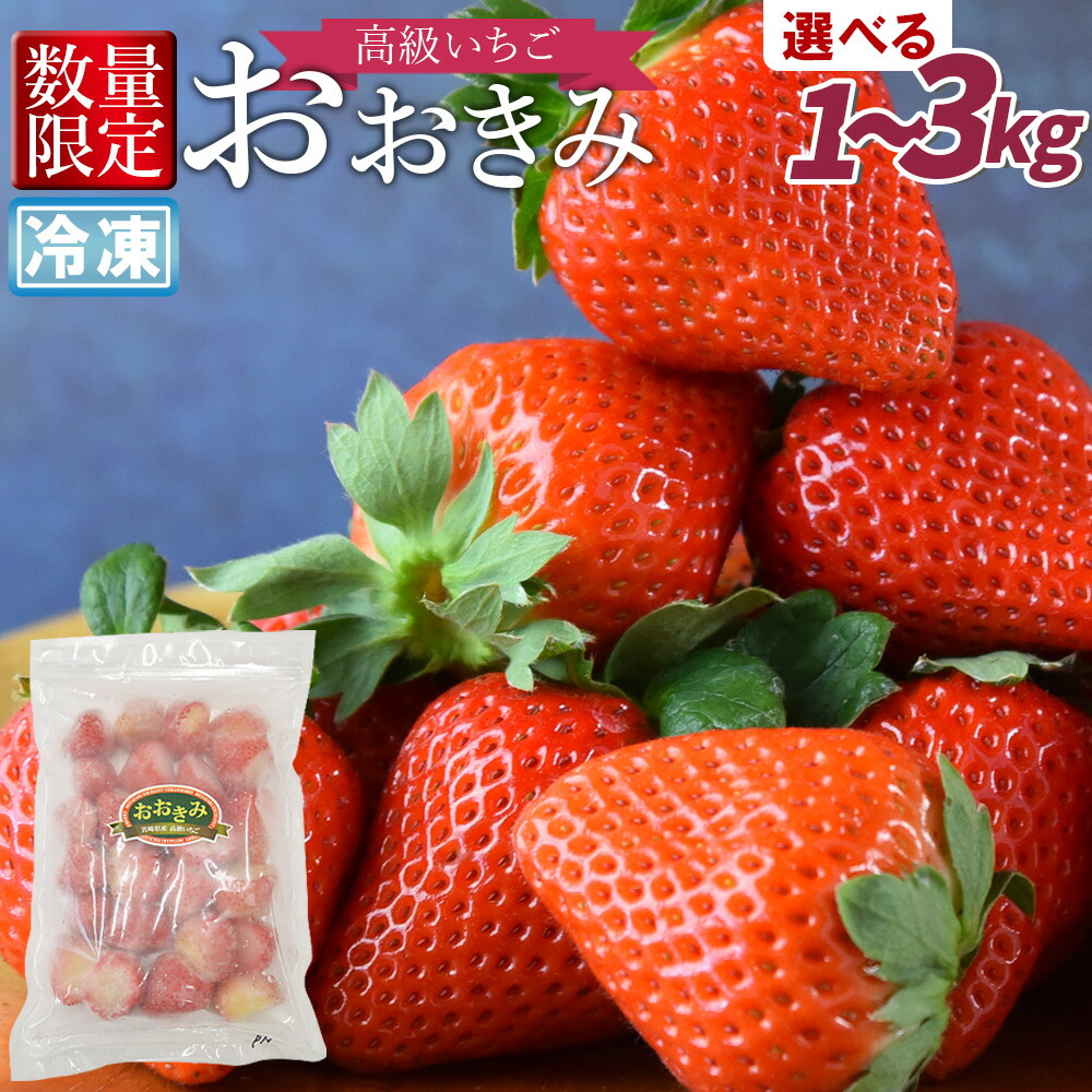 【ふるさと納税】数量限定＜高級いちご「おおきみ」冷凍いちご＞※入金確認後、2025年1月下旬から順次出荷 選べる 1kg 2kg 3kg フルーツ イチゴ 苺 青果 果物 減農薬 不揃い 急速冷凍 フローズン ジャム スムージー サンクール・スマイルファーム 宮崎県 国富町  【冷凍】