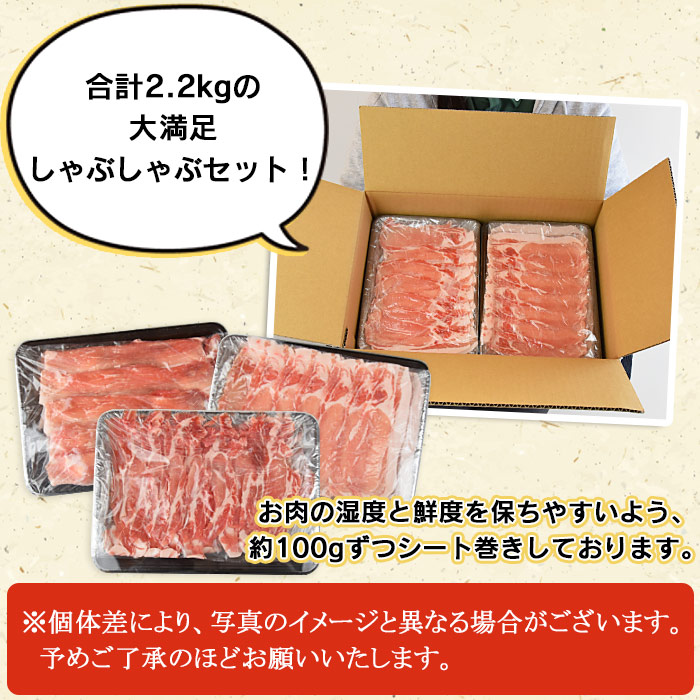 驚きの安さ 宮崎県産豚しゃぶしゃぶ 三種盛りセット 合計2.2kg ※入金確認後 翌月末迄に順次出荷します 豚肉 スライス 豚ロース 豚肩ロース 豚モモ  薄切り 食べ比べ セット 小分け シート巻き 国産 宮崎県 国富町 0386_ty fucoa.cl