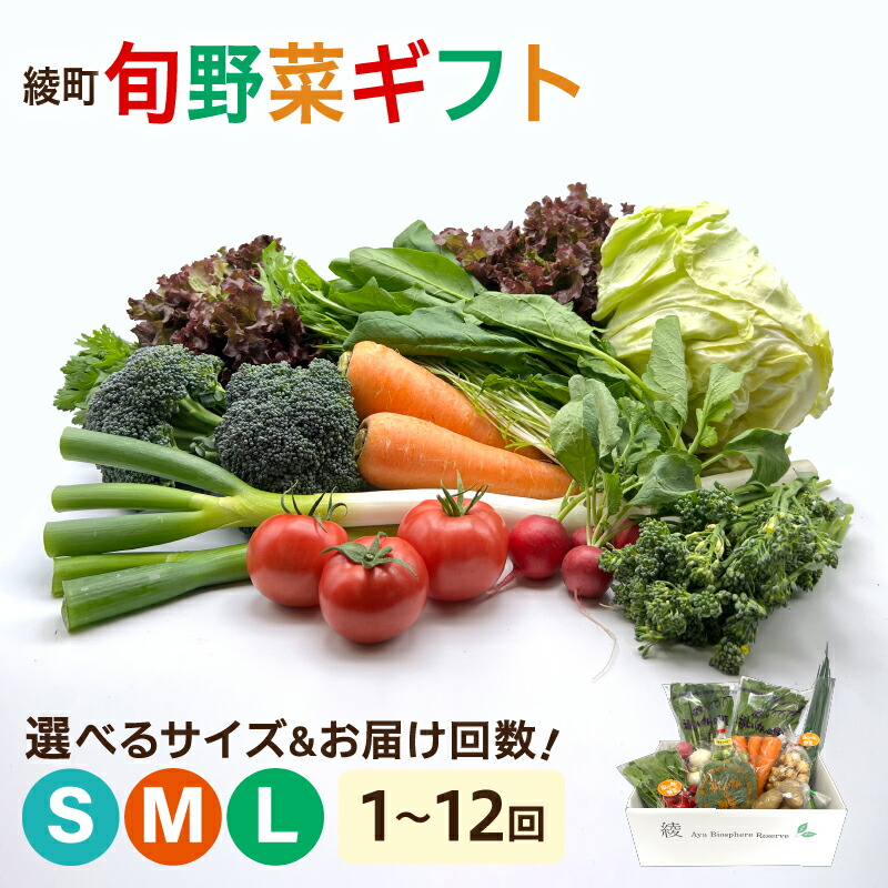 【ふるさと納税】〈選べる！サイズ＆お届け回数〉綾町旬野菜ギフト 詰め合わせ 野菜セット 8種 10種 13種 1回 3回 6回 12回 定期便 有機 おまかせ お試し 新鮮 美味しい 送料無料【オーガニックのまち 宮崎県綾町】