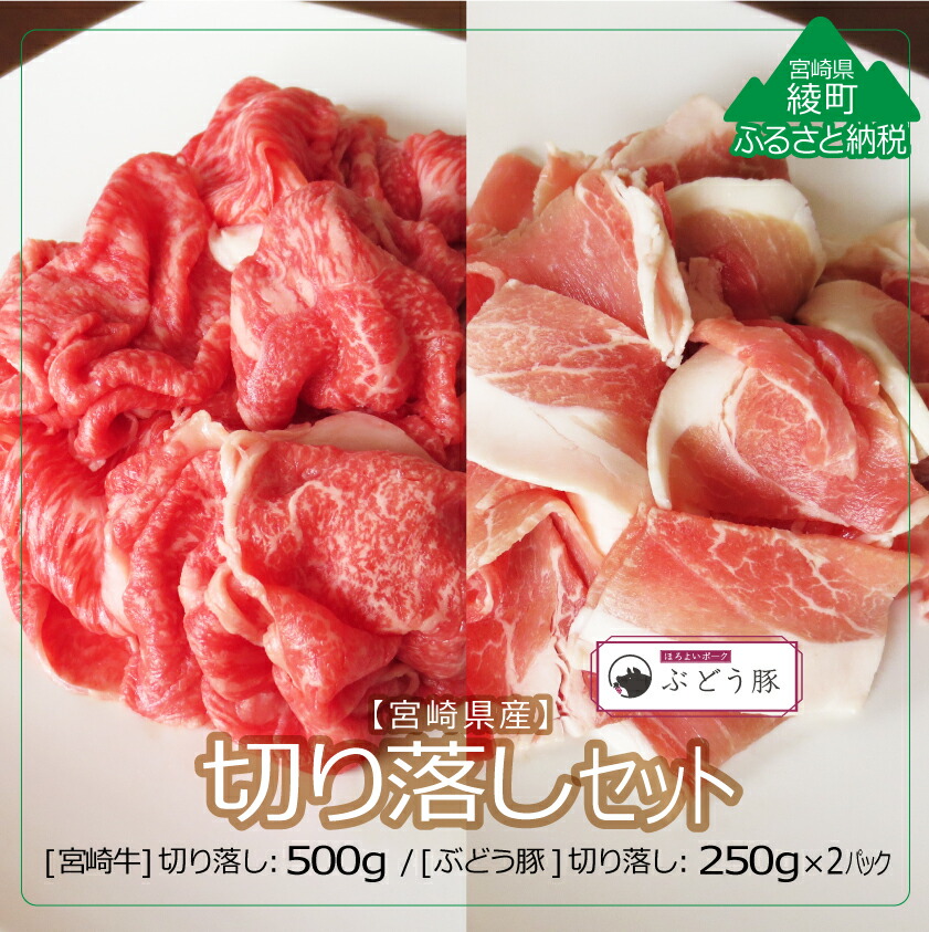 【ふるさと納税】綾ぶどう豚 宮崎牛 切り落し 食べ比べ セット 1kg 小分け 豚肉 希少 ブランド豚 牛肉 A4A5等級 黒毛和牛 内閣総理大臣賞 宮崎県 送料無料