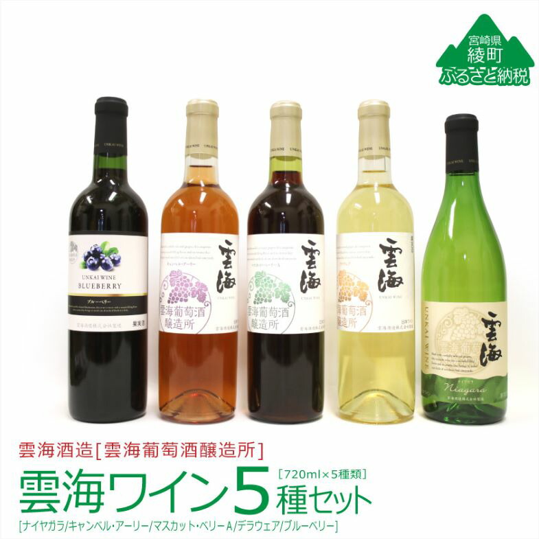 【ふるさと納税】雲海葡萄酒醸造所 ワイン セット 5種 お酒 アルコール 飲料 国産 赤 白 ロゼ ブルーベリー 飲み比べ やや甘口 甘口 辛口 国産ぶどう100％ フルーティ 家飲み ギフト 贈り物 プレゼント お祝い 記念日 ご褒美 パーティー 宮崎県 綾町 送料無料 【雲海酒造】｜宮崎県綾町