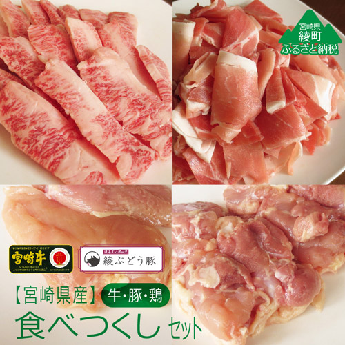 【ふるさと納税】宮崎県産牛・鶏・豚肉食べつくし4種セット ブランド豚 詰め合わせ 小分け
