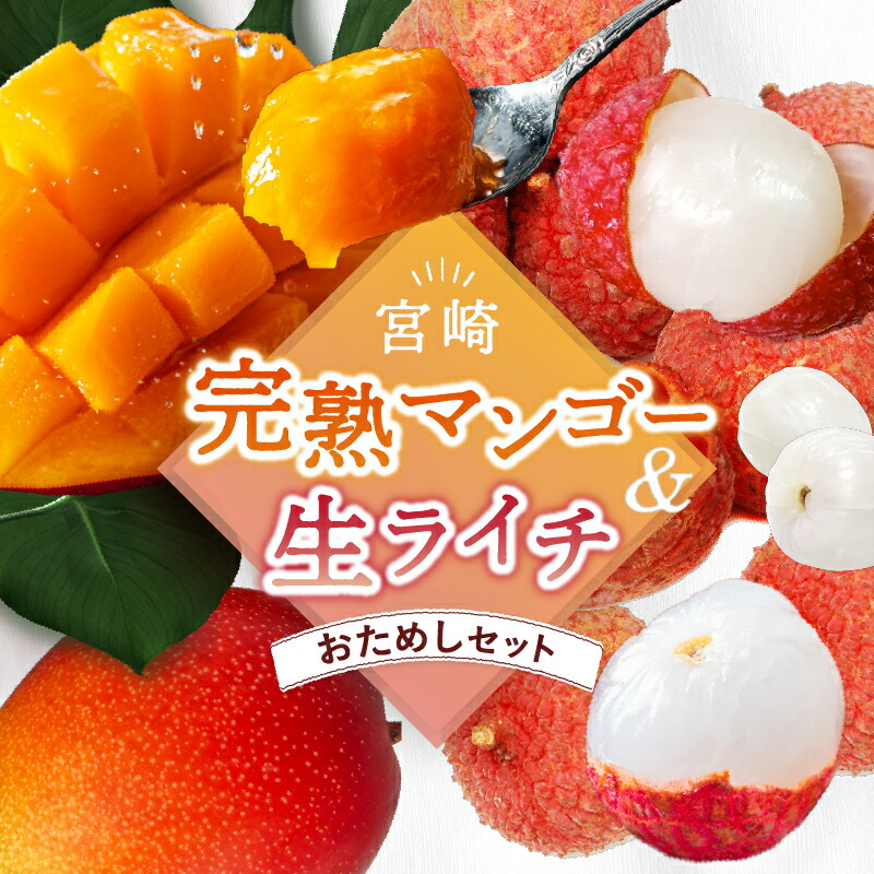 【ふるさと納税】 【2025年先行予約】 完熟マンゴー＆生ライチセット 宮崎県産  綾町 マンゴー ライチ 果物 フルーツ 先行受付 予約  産地直送 期間限定 濃厚 甘い 産地直送 お中元 送料無料