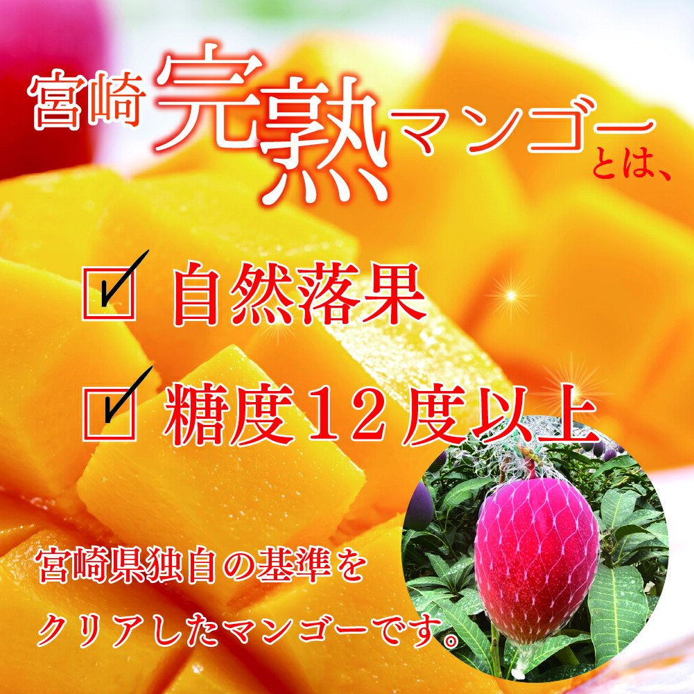 最安値級価格 完熟 マンゴー 2l 9玉 約3kg 濃厚 宮崎 高級 果物 フルーツ 贈答 ギフト 甘い 送料無料 先行受付 Fucoa Cl