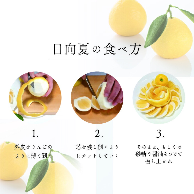【ふるさと納税】日向夏(種あり)5kg【先行受付】2022年発送ニューサマーオレンジ柑橘ギフト贈答