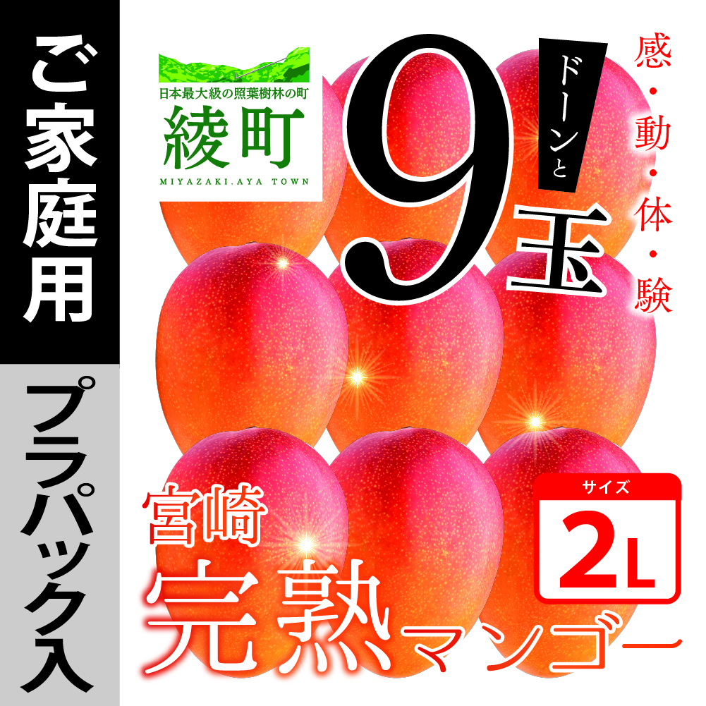 楽天市場】【ふるさと納税】太陽のタマゴ 2玉 約1kg 完熟 マンゴー 濃厚 宮崎 高級 果物 フルーツ 贈答 ギフト 先行受付 送料無料 :  宮崎県綾町