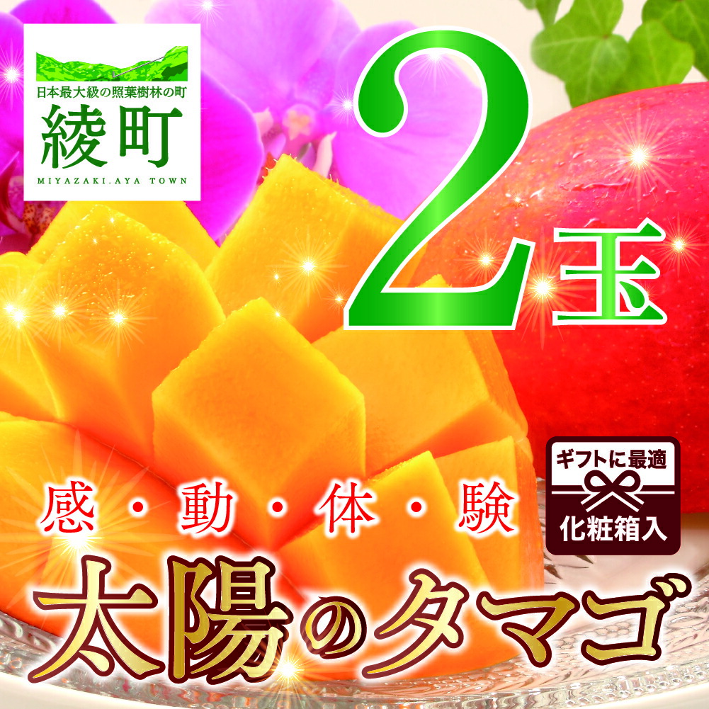 最大74％オフ！ 完熟 マンゴー 太陽のタマゴ 2玉 約1kg 濃厚 高級 果物 ギフト 先行受付 送料無料 qdtek.vn