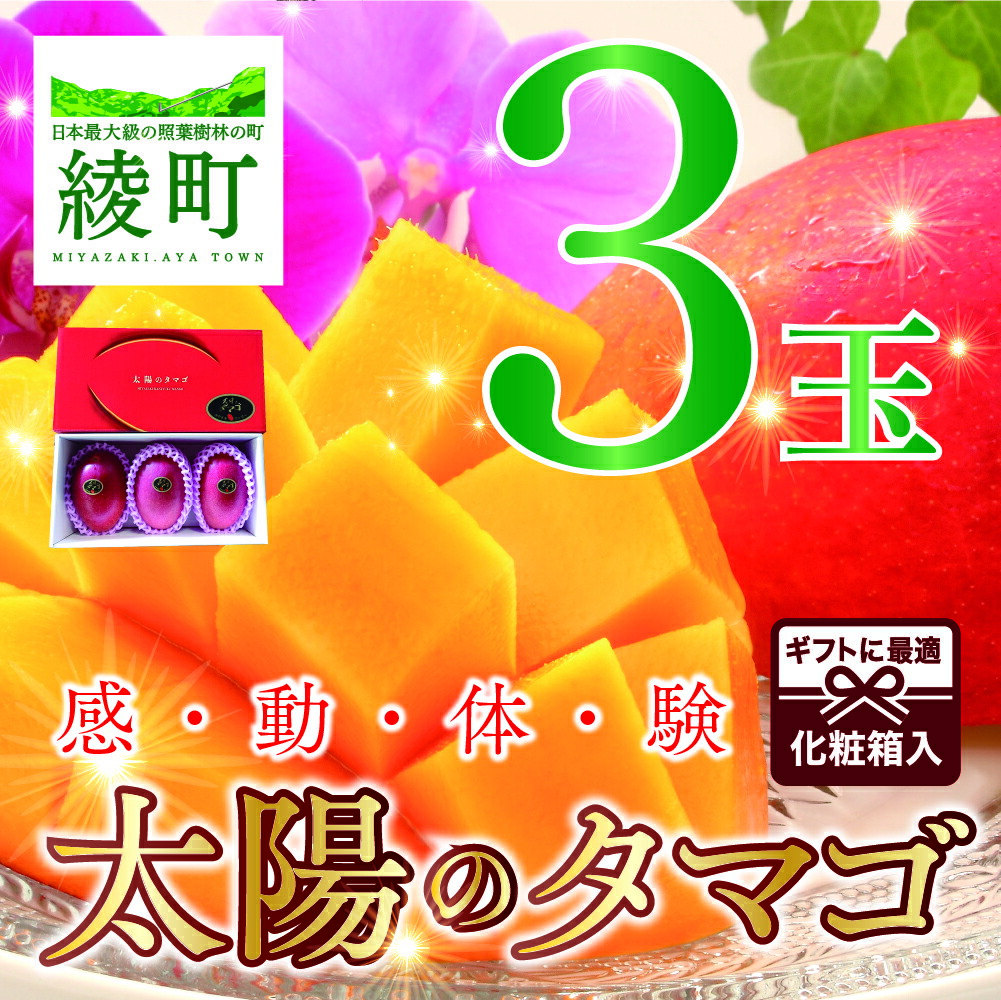 ふるさと納税 太陽のタマゴ 完熟 マンゴー 3玉 約1kg 先行受付 『1年保証』 果物 高級 人気ブランドを ギフト 濃厚 送料無料