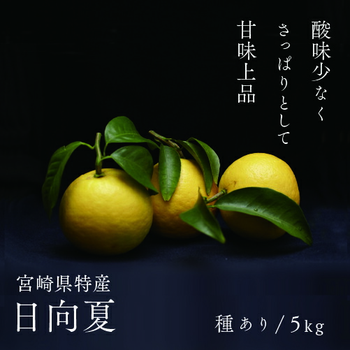 【ふるさと納税】日向夏 種あり 5kg 先行受付 2026年発送 ニューサマーオレンジ 柑橘 ギフト 贈答 送料無料