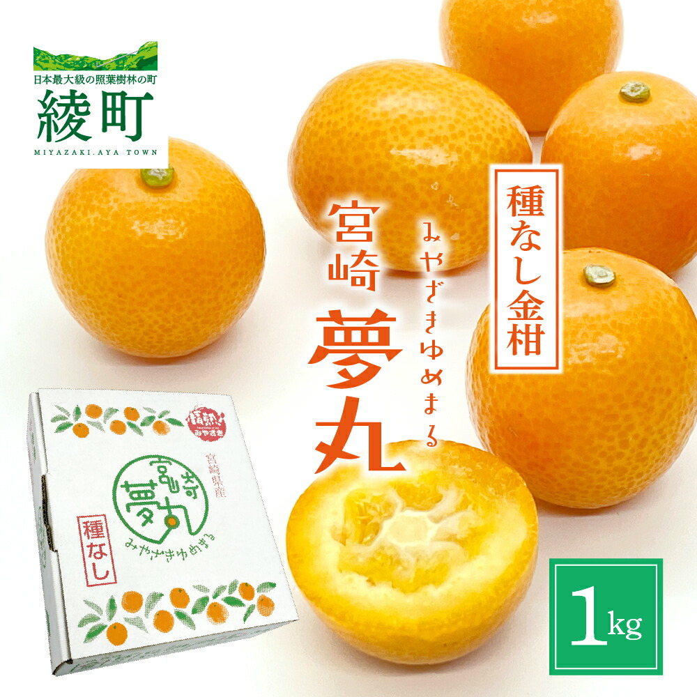 41【鹿児島県産】金柑(きんかん)春姫+キウイ+あんぽ柿L18玉 楽天市場】【ふるさと納税】先行受付：鹿児島県産ブランド