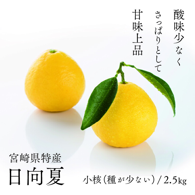 【ふるさと納税】初春の旬「日向夏」種が少ない ２.５kg 果物 日向夏フルーツ 贈答 ギフト  送料無料