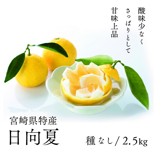【ふるさと納税】初春の旬「日向夏」種なし ２.５kg　果物 日向夏フルーツ 贈答 ギフト  送料無料