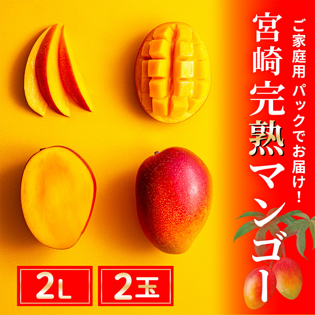 【ふるさと納税】 完熟マンゴー ２L×２玉（パック） 濃厚 宮崎 高級 果物 フルーツ 贈答 ギフト 甘い 先行受付 送料無料