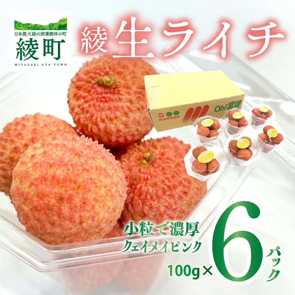 【ふるさと納税】希少 国産 綾生ライチ お裾分けセット [6パック]  宮崎県 綾町産 ライチ 果物 フルーツ 先行受付 予約  産地直送 期間限定 小分け 冷蔵 送料無料