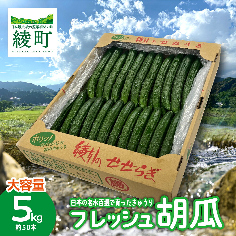 【ふるさと納税】綾川の恵み「フレッシュ胡瓜（きゅうり）」5kg / 宮崎県産 綾町産 きゅうり 胡瓜 産地直送 期間限定 送料無料 ふるさと納税