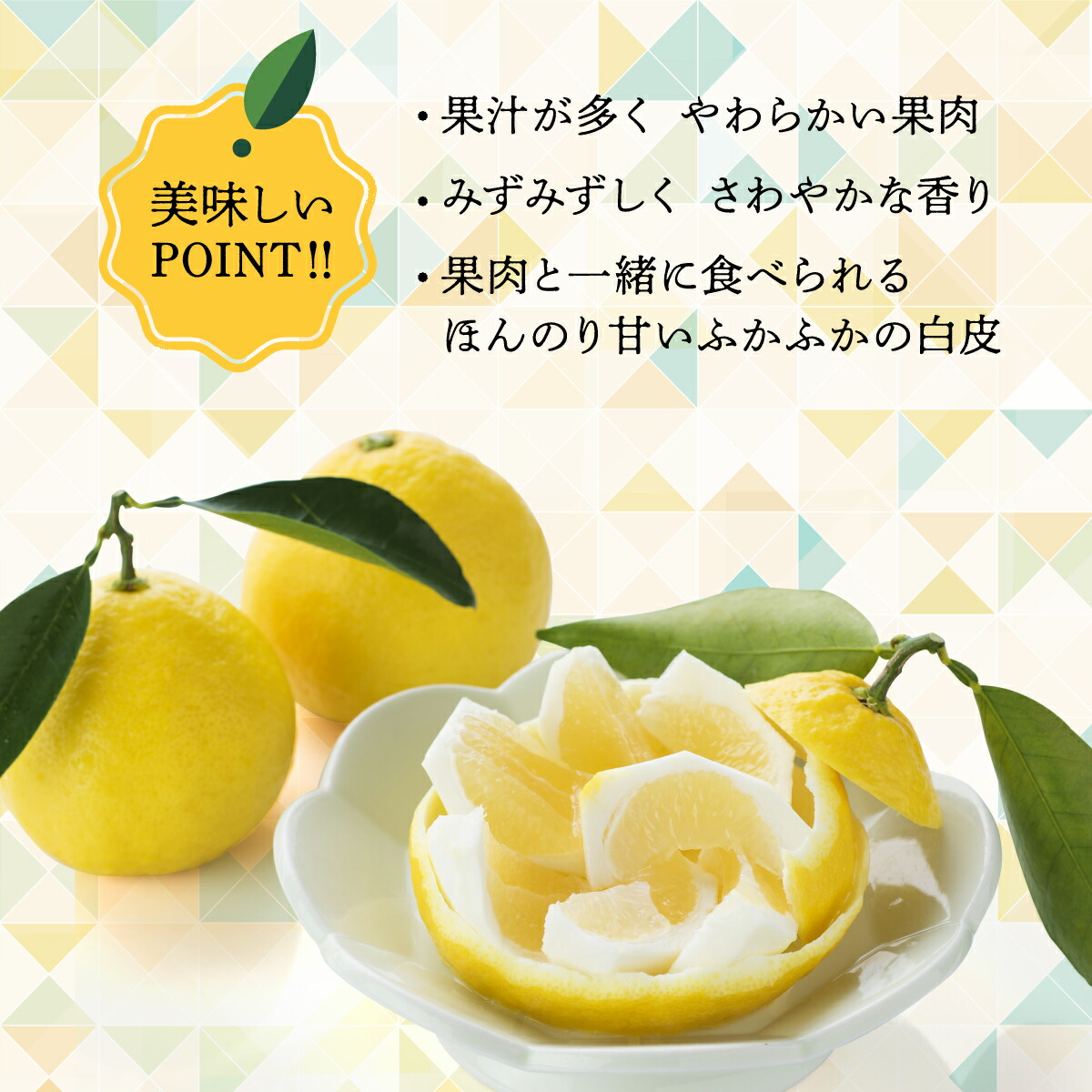【ふるさと納税】日向夏(種あり)5kg