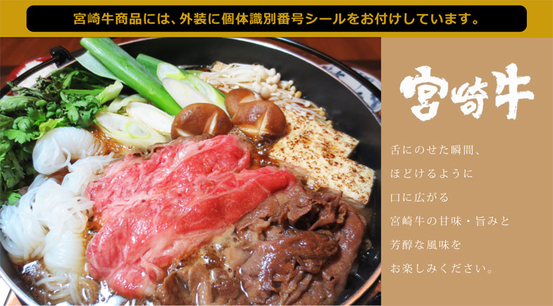 【ふるさと納税】宮崎牛リブロースステーキカット450g