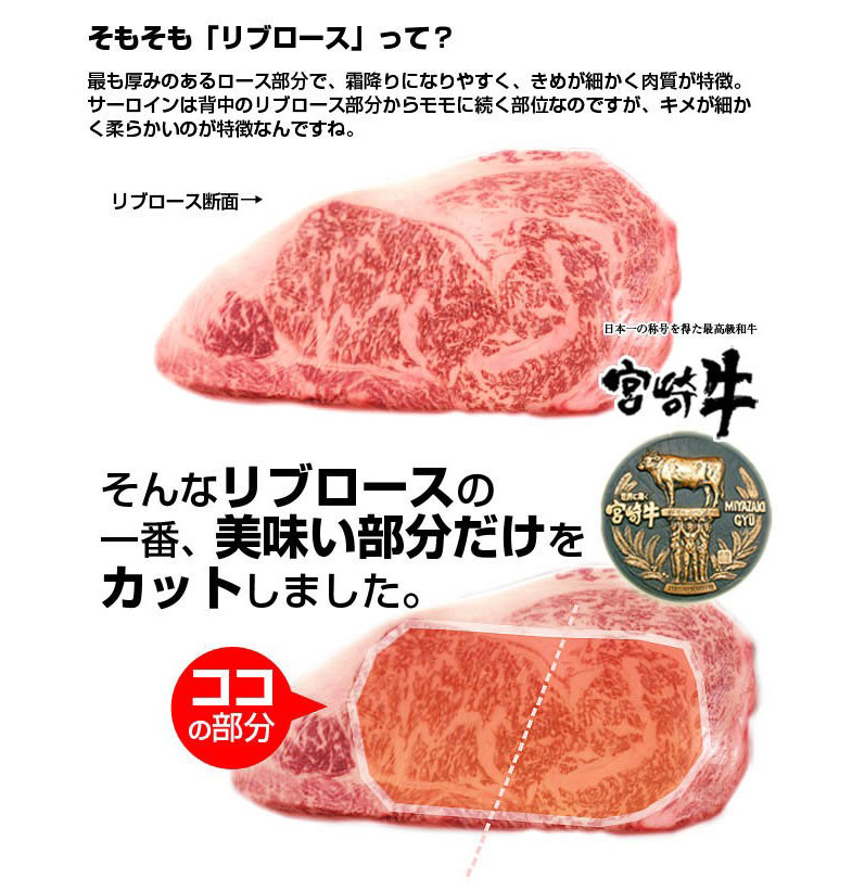 【ふるさと納税】宮崎牛リブロースステーキカット450g