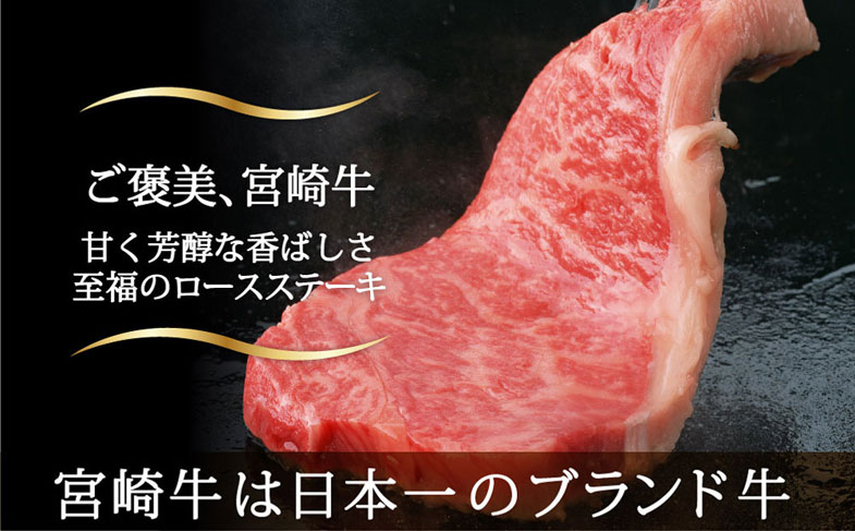 【ふるさと納税】宮崎牛リブロースステーキカット450g