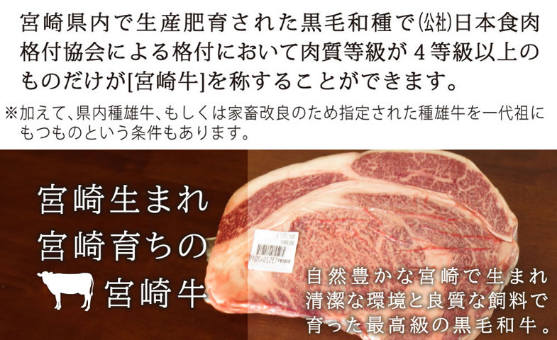 【ふるさと納税】宮崎牛リブロースステーキカット450g