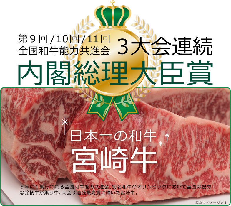 【ふるさと納税】宮崎牛リブロースステーキカット450g