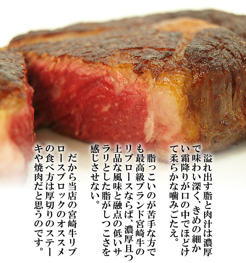 【ふるさと納税】宮崎牛リブロースステーキカット450g