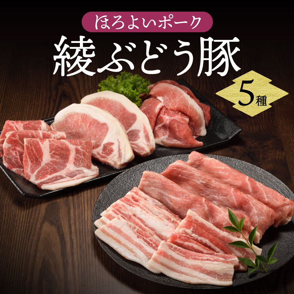 【楽天市場】【ふるさと納税】国産 豚肉 ブランド 豚 綾ぶどう豚 お楽しみ セット 食べつくし 詰め合わせ バラエティー ロース とんかつ 肩