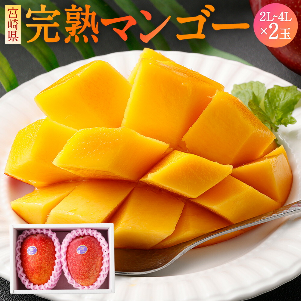 【ふるさと納税】＜宮崎県 完熟マンゴー 4L×2玉 1kg＞＜3L×2玉 900g＞＜2L×2玉 700g＞2025年4月上旬～7月中旬迄に順次出荷 マンゴー 2玉 選べる 果物 くだものフルーツ 完熟  トロピカルフルーツの女王 贈答品 ギフト 南国  期間・数量限定 宮崎県 児湯郡 高鍋町 送料無料