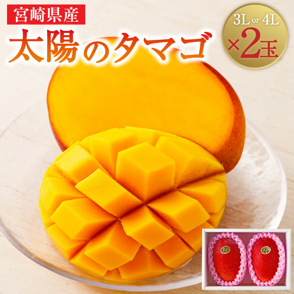 【ふるさと納税】【選べるサイズ】＜宮崎県 完熟マンゴー 太陽のタマゴ 3L×2玉(合計 約900g)または4L×2玉(合計 約1kg)＞  ※2025年5月上旬～7月中旬迄に順次出荷します。 選べる 果物 くだもの マンゴー フルーツ 贈答品 ギフト 南国 特産品 宮崎県 児湯郡 高鍋町【冷蔵】