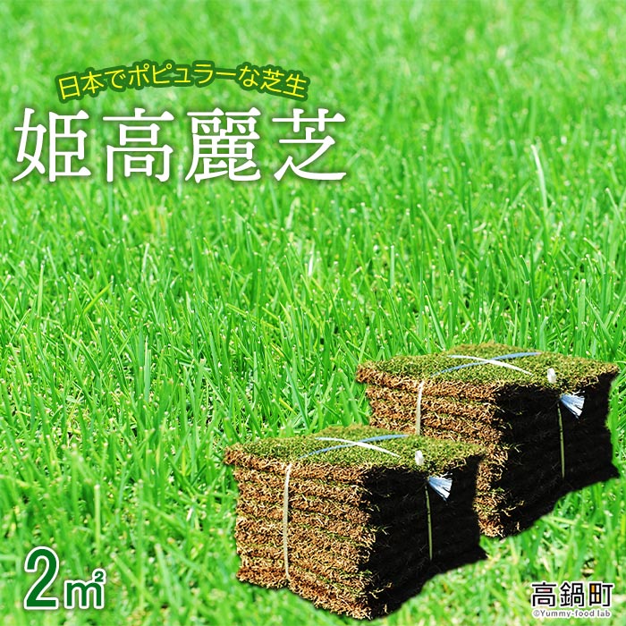 超格安最安値 お庭に最適 細かい芝目でお庭の景観がより美しくなります ふるさと納税 姫高麗芝 2平方メートル 2か月以内に順次出荷します 天然 高密度 Diy ガーデニング 日向芝 宮崎県 高鍋町 常温 宮崎県高鍋町 超格安価格大好評 Stock Agitel Fr
