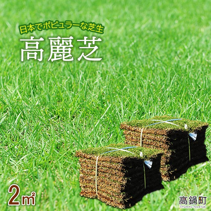 訳あり品送料無料 天然芝 芝生 日向ターフ 改良野芝 宮崎県産 10平米 10束 5箱