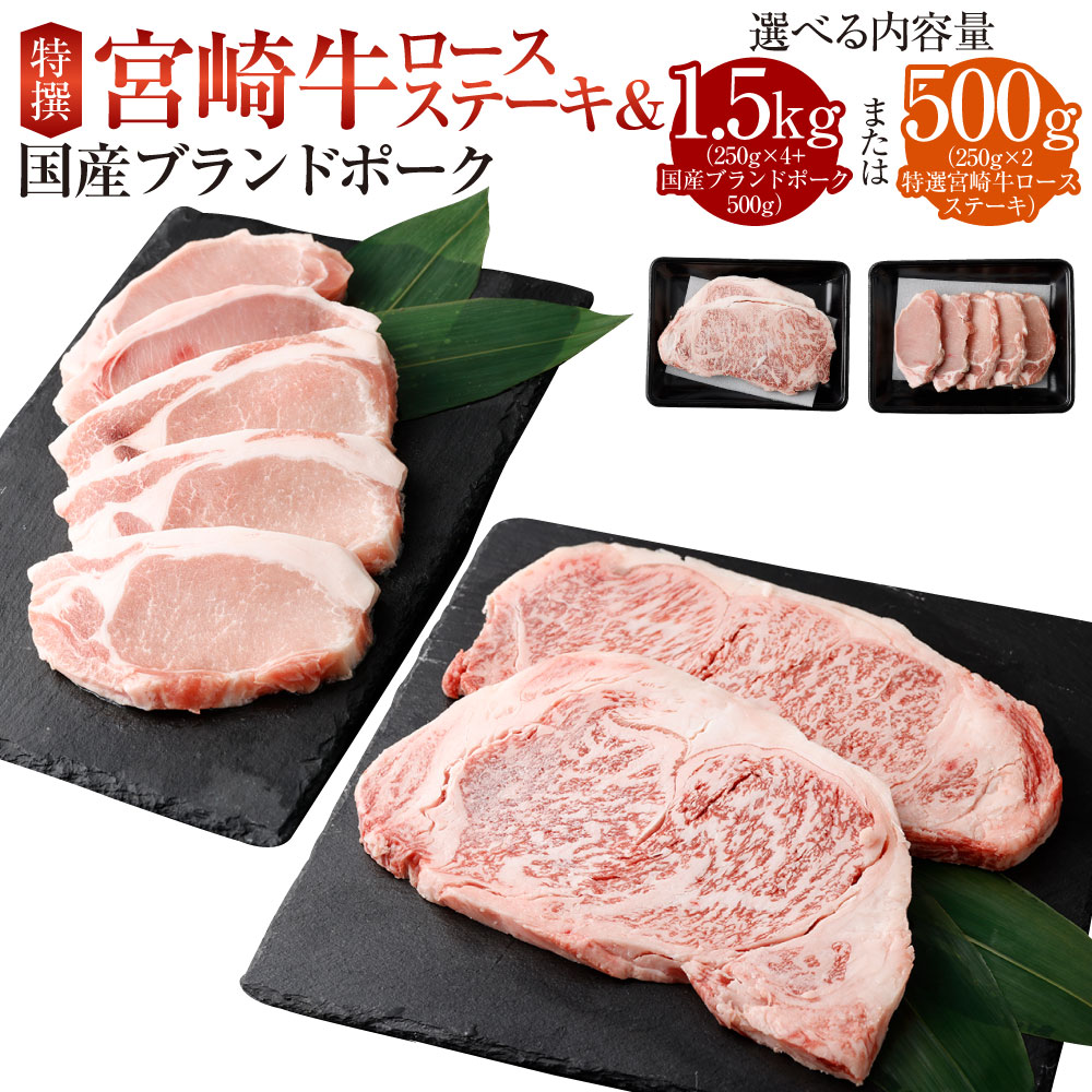 【ふるさと納税】＜特選宮崎牛ロースステーキ 1kg＋ブランドポーク100g×5枚＞または＜特撰宮崎牛ロースステーキ 500g＞※入金確認後、翌月末迄に順次出荷 黒毛和牛 花いちもんめ 宮崎牛 和牛 牛肉 肉 ロース ステーキ 特産品 宮崎県 高鍋町 【冷凍】