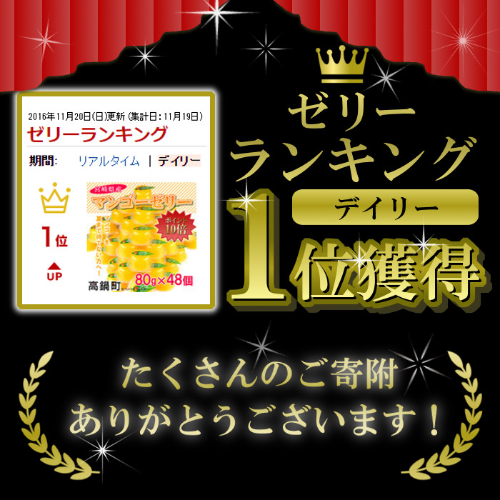 本場宮崎 宮崎県産マンゴーゼリー 80g 48個セット ひょっとこ堂 まんごー 特産品 宮崎県 翌月末迄に順次出荷します 入金確認後 高鍋町
