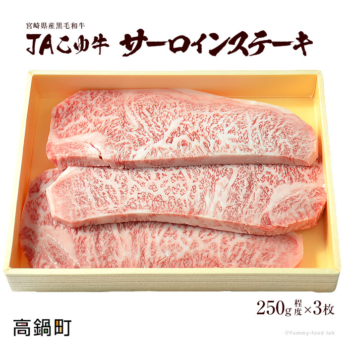 【ふるさと納税】<JAこゆ牛A4ランク以上サーロインステーキ 250g程度×3枚> ※入金確認後、翌月末迄に順次出荷します。 宮崎県産黒毛和牛 牛肉 特産品 JA児湯 ルーピン キャンプ 宮崎県 高鍋町 【冷凍】|宮崎県高鍋町
