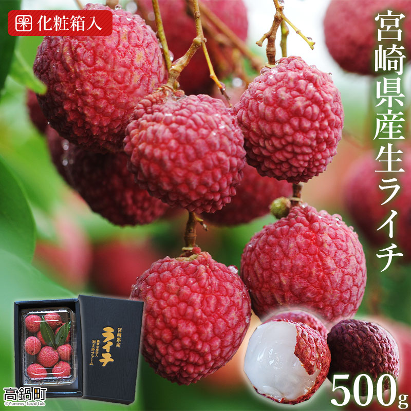 【ふるさと納税】＜宮崎県産 生ライチ 500g＞ 2025年7月上旬～7月下旬迄に順次出荷  茘枝 果物 フルーツ 果実 贈答用 ギフト ミキファーム 特産品 宮崎県 高鍋町 【冷蔵】