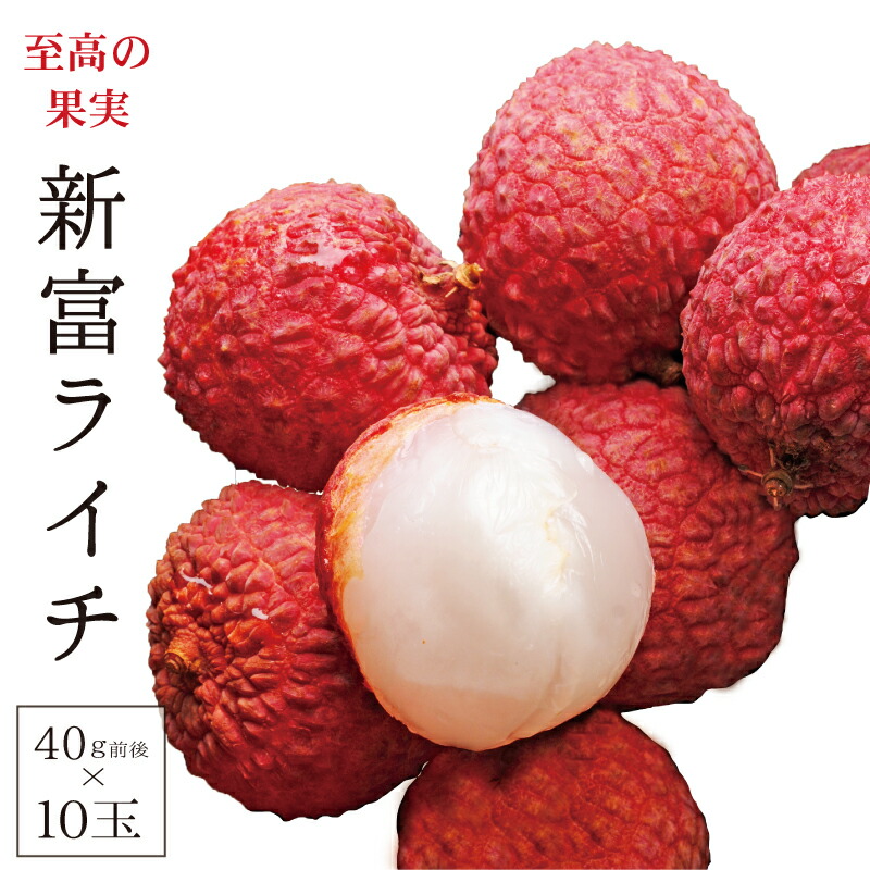 楽天市場 ふるさと納税 国産 新富ライチ 10玉 21年7月中旬迄の受付順に出荷 フルーツ 生ライチ 化粧箱入り 宮崎県 新富町 冷蔵 宮崎県新富町