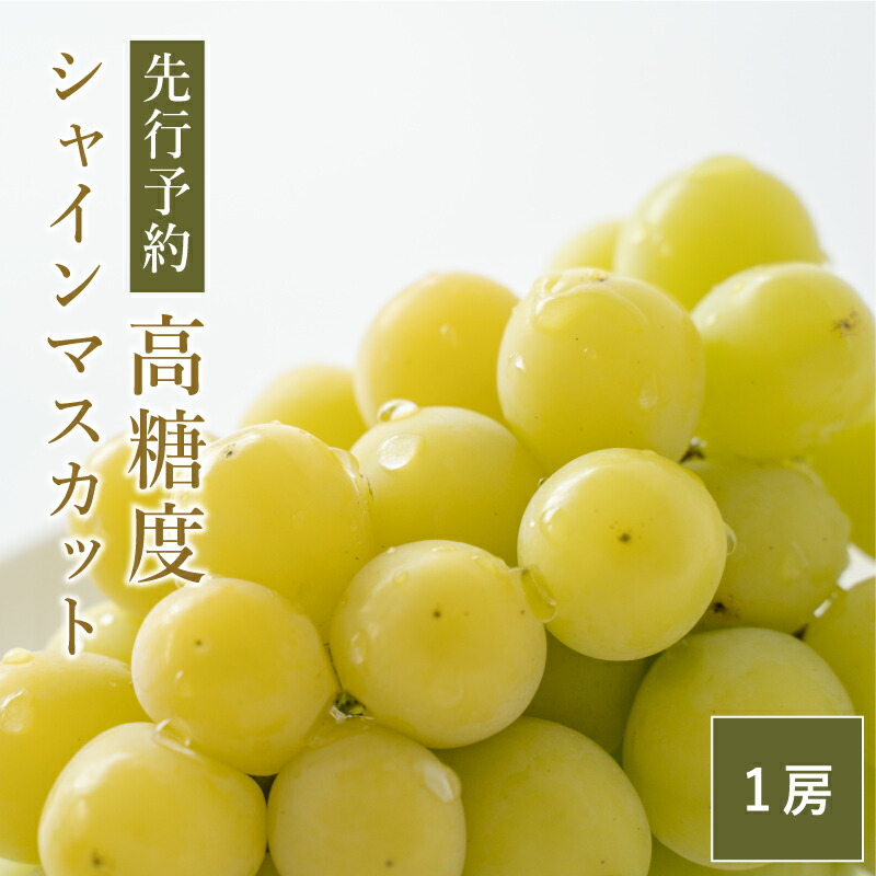 日本産 楽天市場 ふるさと納税 早期予約受付 高糖度 シャインマスカット１房 約500g 600g程度 ぶどう 葡萄 マスカット 宮崎県産 フルーツ 果物 ギフト 贈り物 送料無料 21年9月下旬 11月中旬までの期間内出荷予定 宮崎県新富町 国内配送 Lexusoman Com