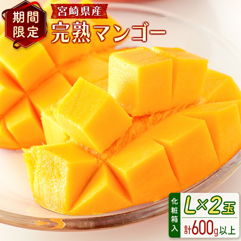 【ふるさと納税】宮崎県産 完熟マンゴー＜L×2玉 (計600g以上) ＞化粧箱入 フルーツ くだもの 国産