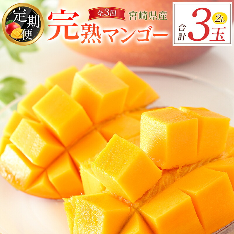 【ふるさと納税】宮崎特産「完熟マンゴー2L×1玉」お届け定期便（全3回）計3玉 特産 国産 果物 フルーツ 旬 産地直送