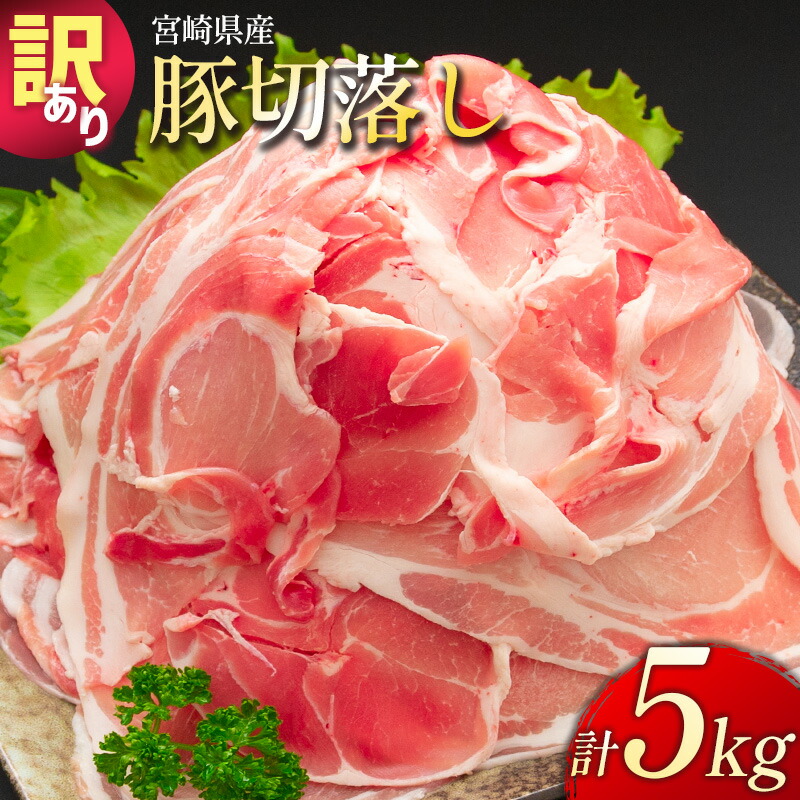 【ふるさと納税】＜配送月が選べる!!＞「訳あり」宮崎県産 豚切落し 5kg 国産 豚肉 精肉 人気 小分け