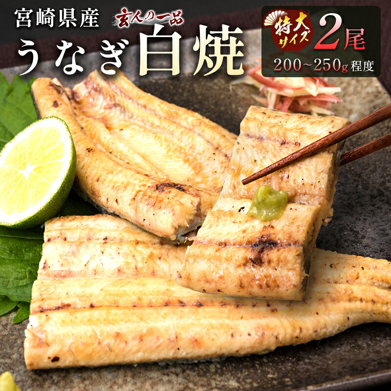 【ふるさと納税】数量限定［玄人の一品］うなぎ白焼き 特大2尾（200～250g程度/1尾）計400g以上 宮崎県産鰻 化粧箱入り 蒲焼タレ付（50ml&times;1本）2週間以内出荷｜宮崎県新富町