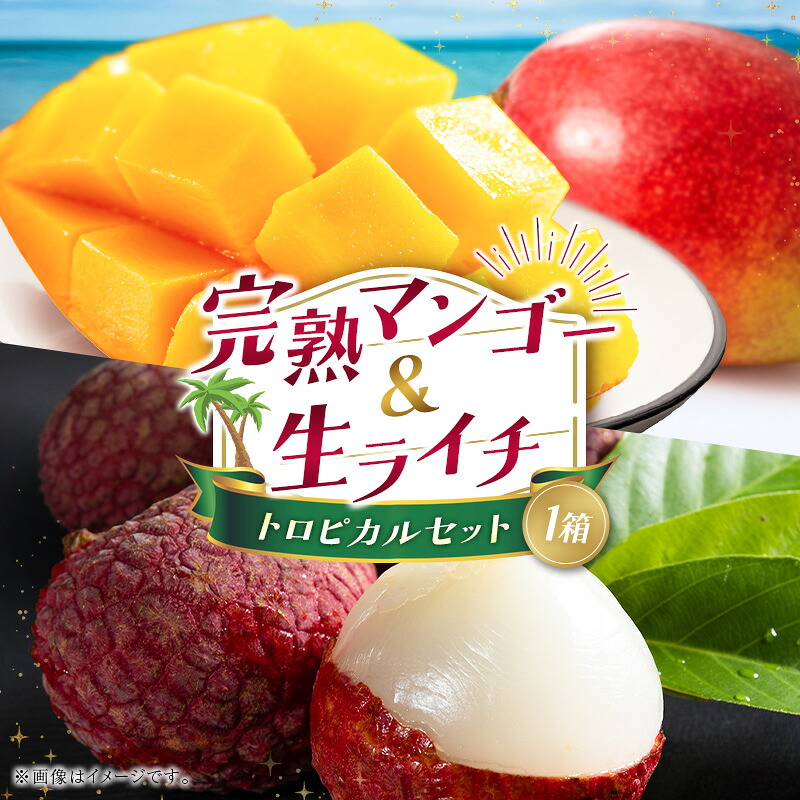 楽天市場】【ふるさと納税】希少 国産 綾生ライチ 2種食べ比べセット