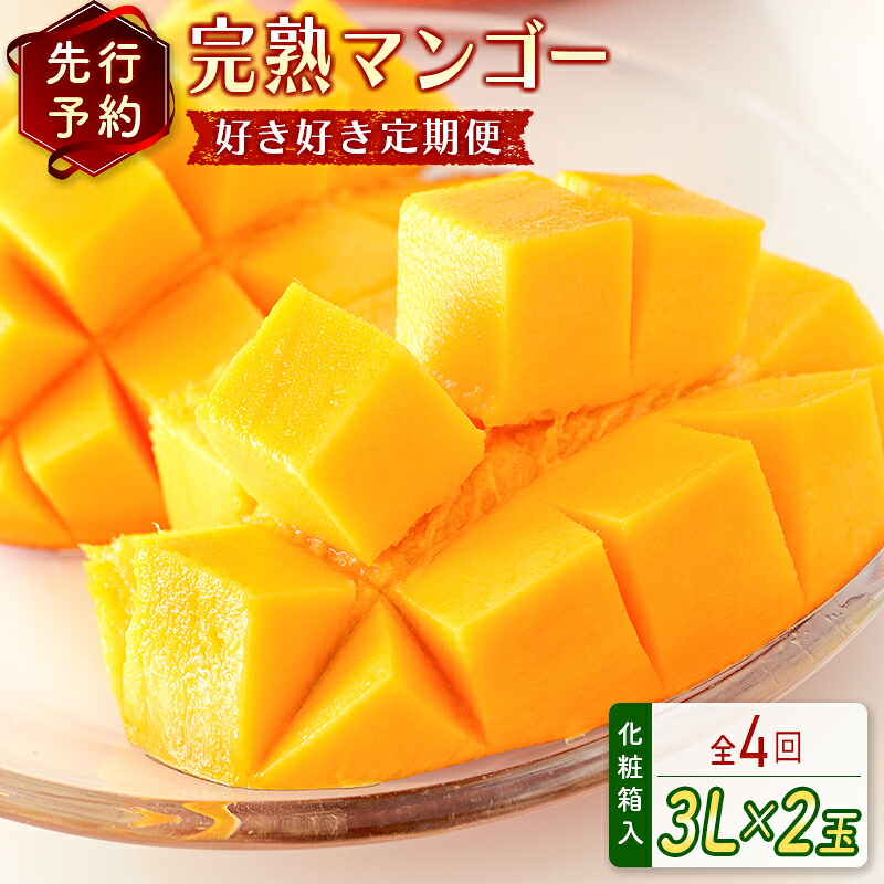 食品 馬様専用です！ 完熟マンゴー 3㌔