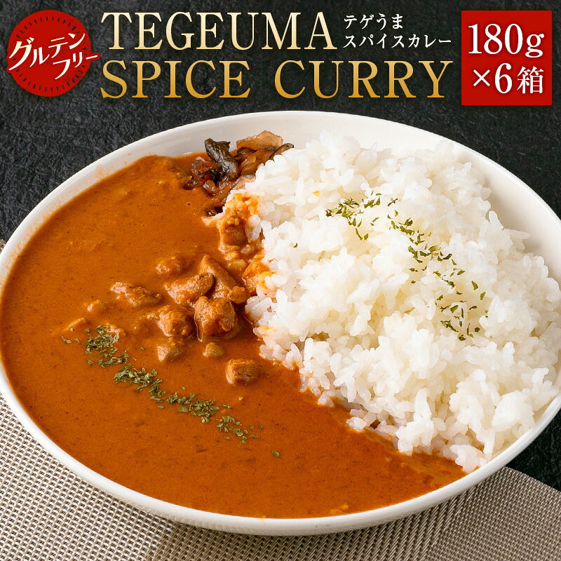 【ふるさと納税】グルテンフリー 無水チキンカレー TEGEUMA SPICE CURRY(テゲうまスパイスカレー)180g×6箱|宮崎県新富町