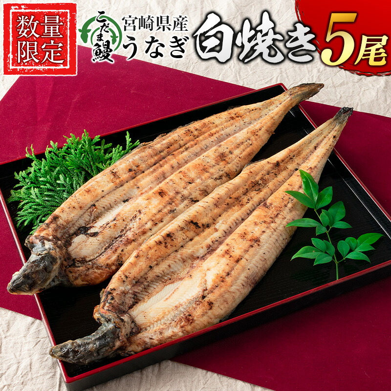 【ふるさと納税】＜数量限定＞「こだま鰻」宮崎県産 うなぎ白焼き 5尾 国産 真空パック｜宮崎県新富町