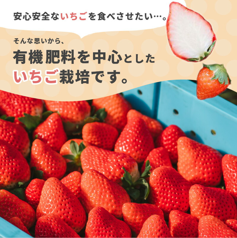 さがほのか フルーツ イチゴ デラックスサイズ 宮崎県産 約1 2kg程度 21年2月 5月内に出荷食品 果物 河野いちご農園 21年2月 5月内に出荷 宮崎県新富町有機肥料を中心としたいちごを栽培しています いちご さがほのか 贈り物 苺 ギフト 宮崎県産 300g以上 7 さがほのか フルーツ イチゴ デラックスサイズ 宮崎県産 約1 2kg程度 21年2月 5月内に出荷食品 果物 河野いちご農園 21年2月 5月内に出荷 宮崎県新富町有機肥料を中心としたいちごを栽培しています いちご さがほのか 贈り物 苺 ギフト 宮崎県産 300g以上 7